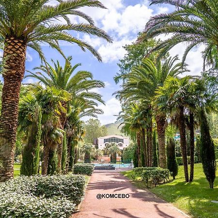 Appartement F2 A Cambo-Les-Bains Avec Piscine, Proche Thermes, Terrasse Et Parking - Fr-1-495-36 Buitenkant foto